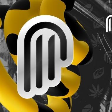 русские торговые площадки даркнет